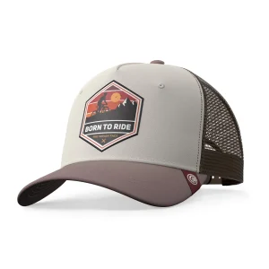 Born to Ride Brown / Grey