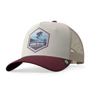 Born to Ski Brown / Grey / Red