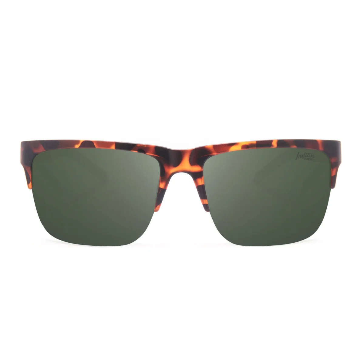 Frontier Tortoise / Green - Imagen 3