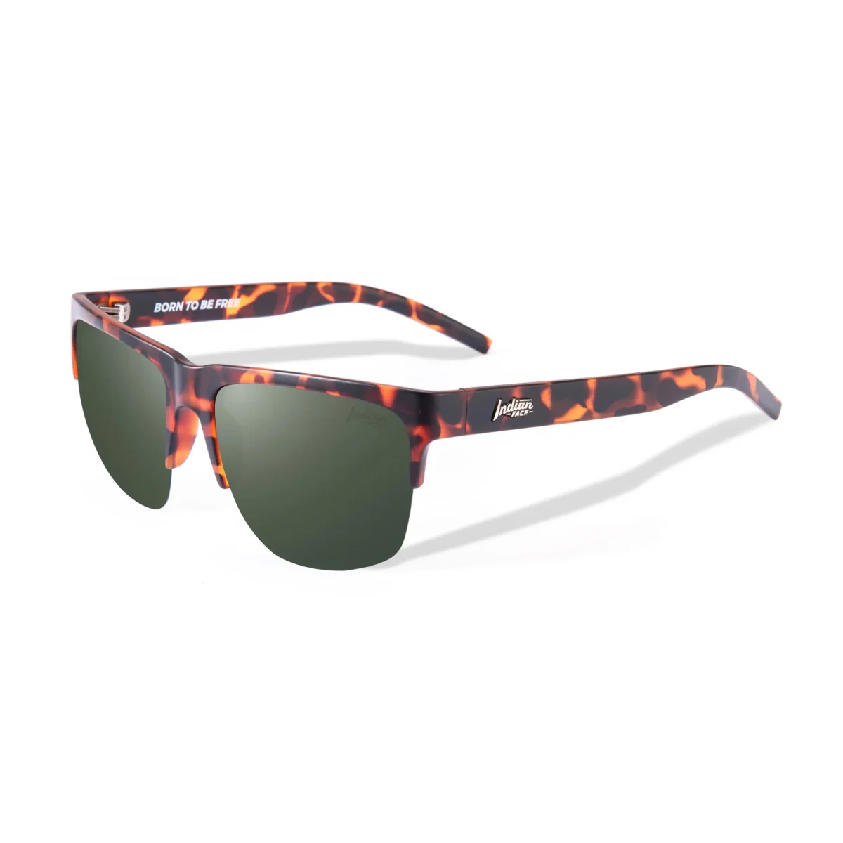 Frontier Tortoise / Green - Imagen 2