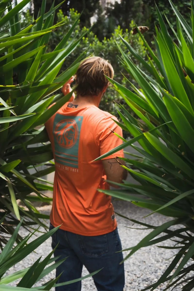 Attitude Coral - Imagen 8
