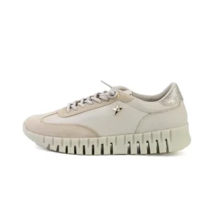 Cetti C-1381 Ante Gordon Dessert