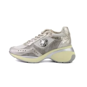 Cetti C-1414 Nuvola Bayer Champagne