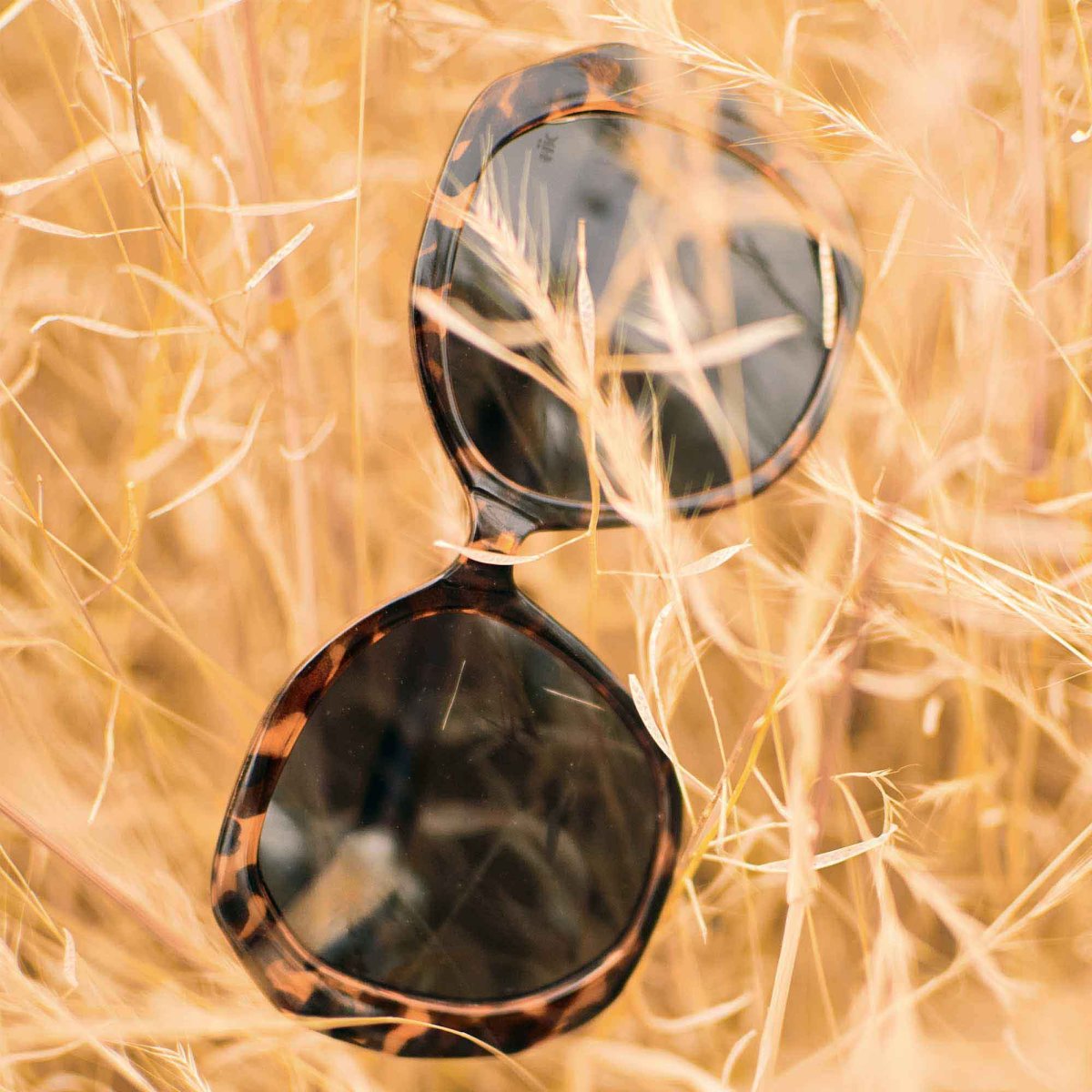 Lombard Tortoise / Black - Imagen 9