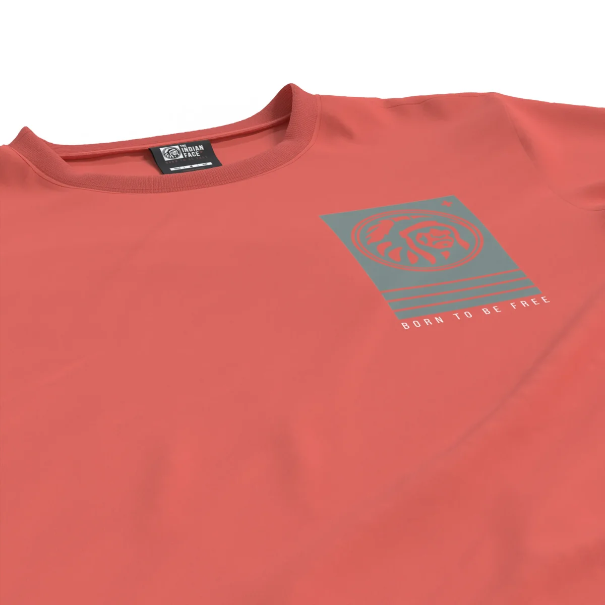Attitude Coral - Imagen 5