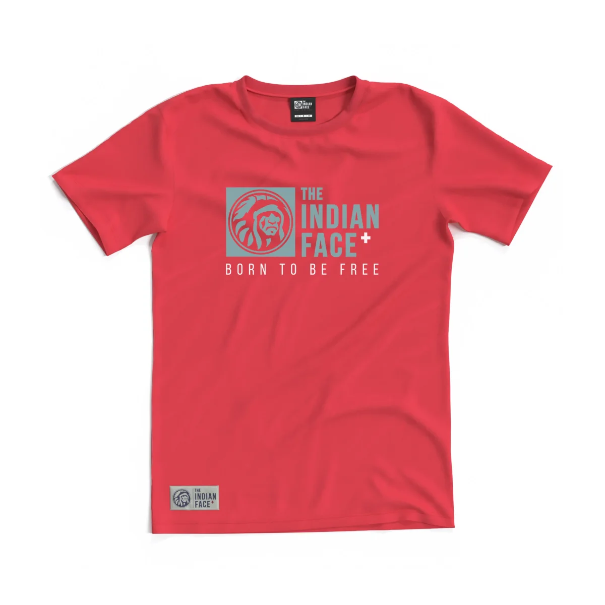 Born to be Free Rose - Imagen 2