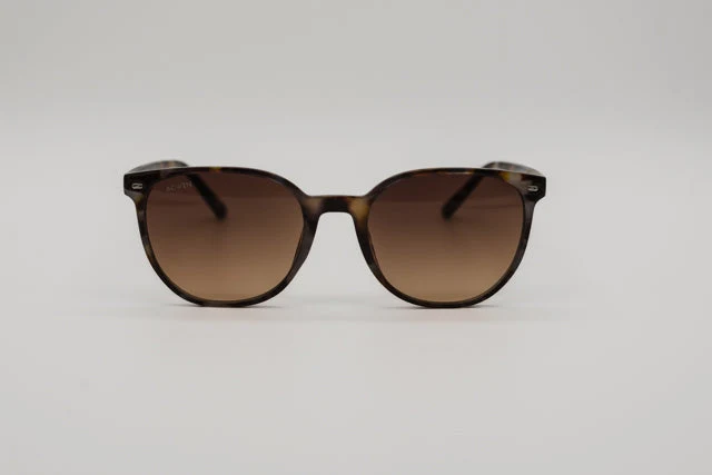 Gafas de Sol Oporto – Estilo Panto en Carey Gris Havana - Imagen 3