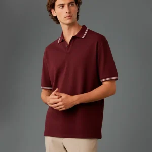 Remera Tipo Polo Bordo